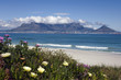 View of Cape Town and table mountain South Africa View of Cape Town and table mountain South Africa