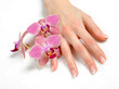 Beautiful hand with perfect nail french manicure and purple orch