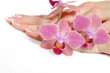 Beautiful hand with perfect nail french manicure and purple orch
