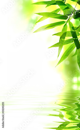 Photo: Zen Bamboo design. With copy-space. Zen Bamboo design. With copy-space.