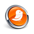 icône bouton internet oiseau information