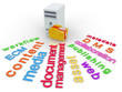 Render Concept of a DMS - Document Management Word Cloud