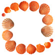 Seashells frame