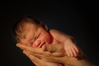 newborn