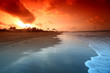 ocean sunrice