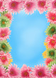 Colorful floral spring border Colorful floral spring border