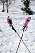 gants de ski roses et bâtons croisés neige