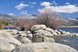 Rocky shoreline