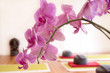 Rosa Orchidee und Yogakissen