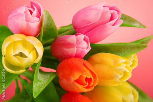 Photo: Tulips on red background Tulips on red background