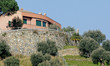 home & garden home & garden