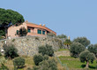 home & garden