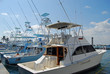 Charter Sportfishing Boats