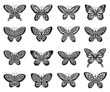 Butterflies icon set