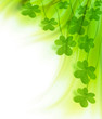 Green fresh clover border Green fresh clover border