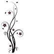 Floral
