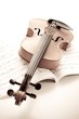 Violine