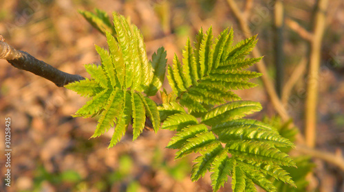 Foto: nature(9) nature(9)