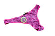 Women's panties and the condom Women's panties and the condom