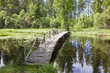Wooden footbridge