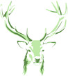 Deer Stag