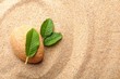 zen stone and leaf