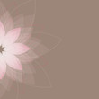 Abstract background with  flowers. Vector illustration