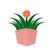 vaso con fiore