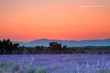 Provence sunrise