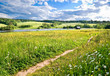 Bright summer Bright summer