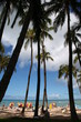 Waikiki Beach in Honolulu - Hawaii