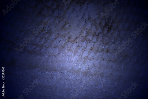 Photo: fish skin fish skin