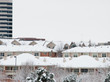 Photo: Snowed roofs Snowed roofs