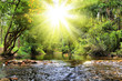River in jungle, Thailand