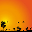 Vector background with Australian fauna and flora