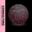 CONSULTING. Globe with different association terms.