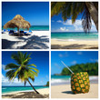 Caribbean collage