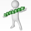 Cubes - 383 - REUSSIR