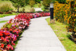 Flower Path Flower Path