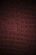 red gridded texture . red gridded texture .
