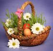 bright basket