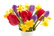 Spring flowers