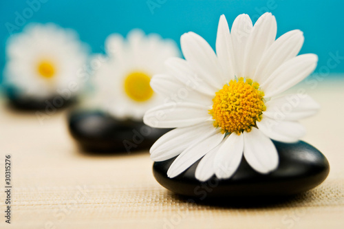 Photo: Wellness Wellness