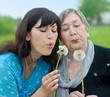 Happy grandmother and grand daughter with dandelions on the mead
