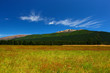 New Zealand Landscape