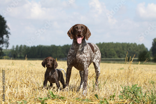 photo par CALLALLOO Canis