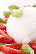 Tomaten Mozzarella