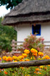 Ukrainisches Dorf