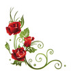 Rose, Rosen, Ranke, rot, Blumen, Blüten, Blätter