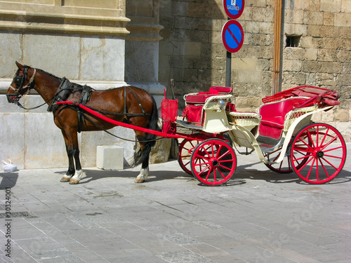 Foto: Cavallo con carrozza Cavallo con carrozza